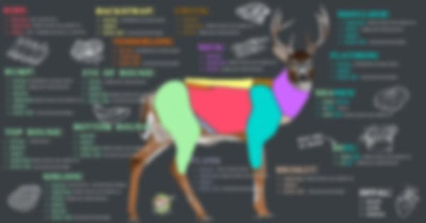 Venison cuts and cooking methods cheat sheet