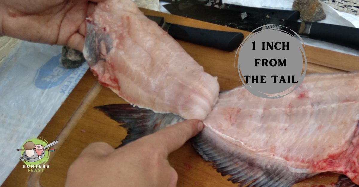 Are Blue Catfish Good to Eat?
