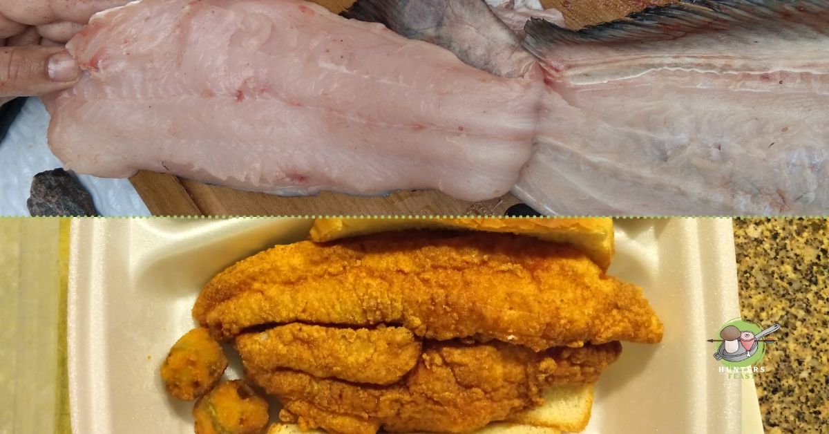 Are Channel Catfish Good to Eat?