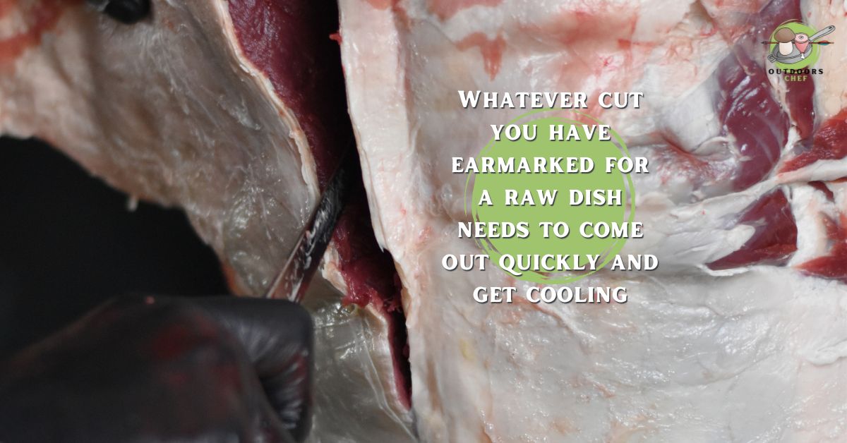 Can You Eat Raw Venison