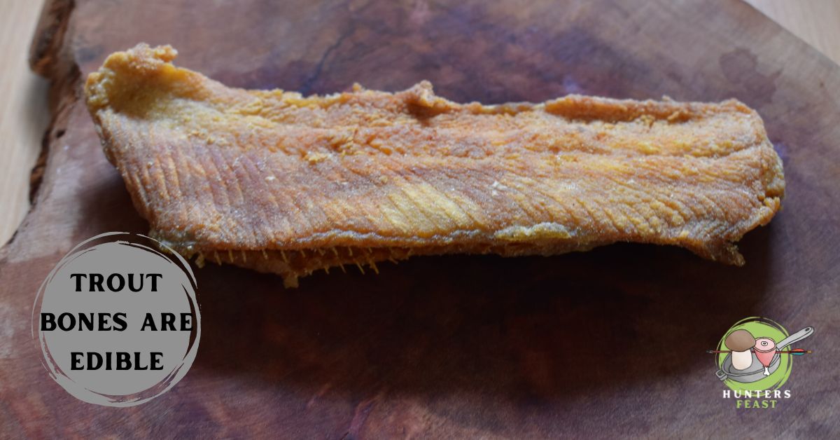 Can You Eat Trout Bones