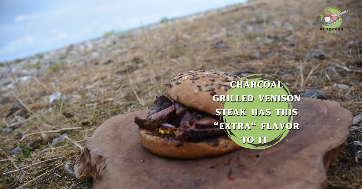 Grilled Venison Steak