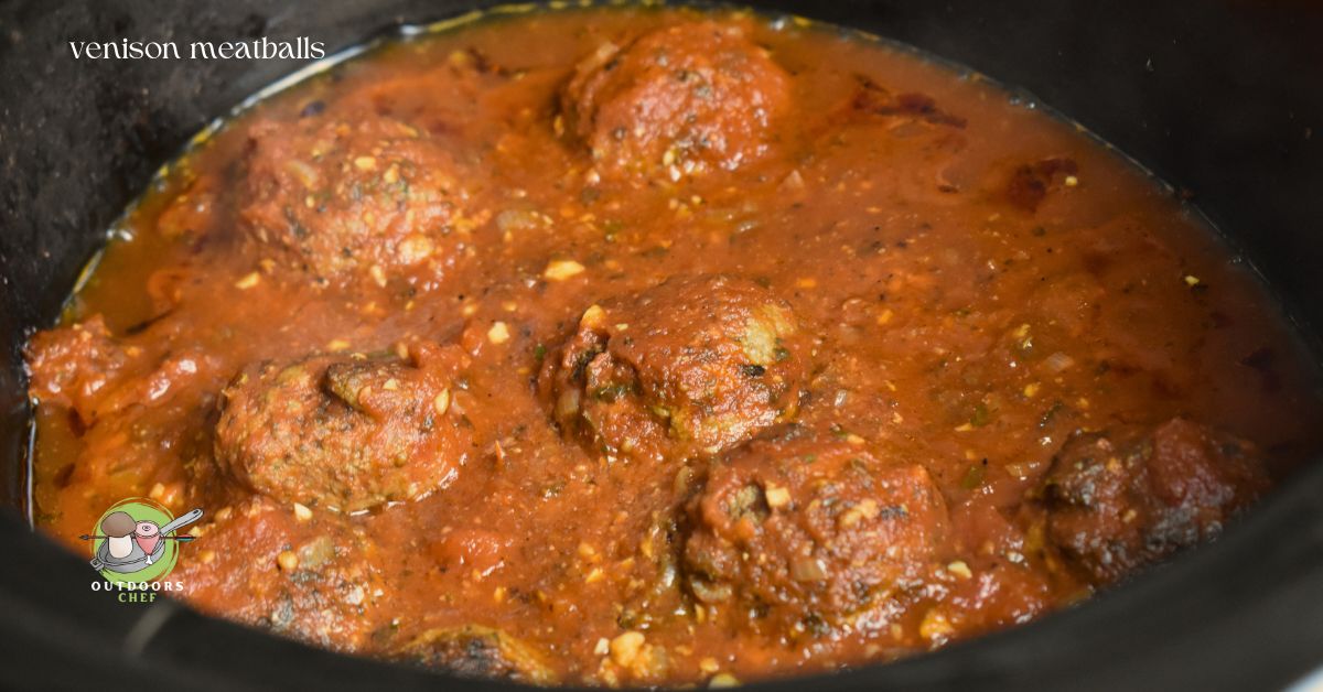 Ground Venison Recipes Crock Pot