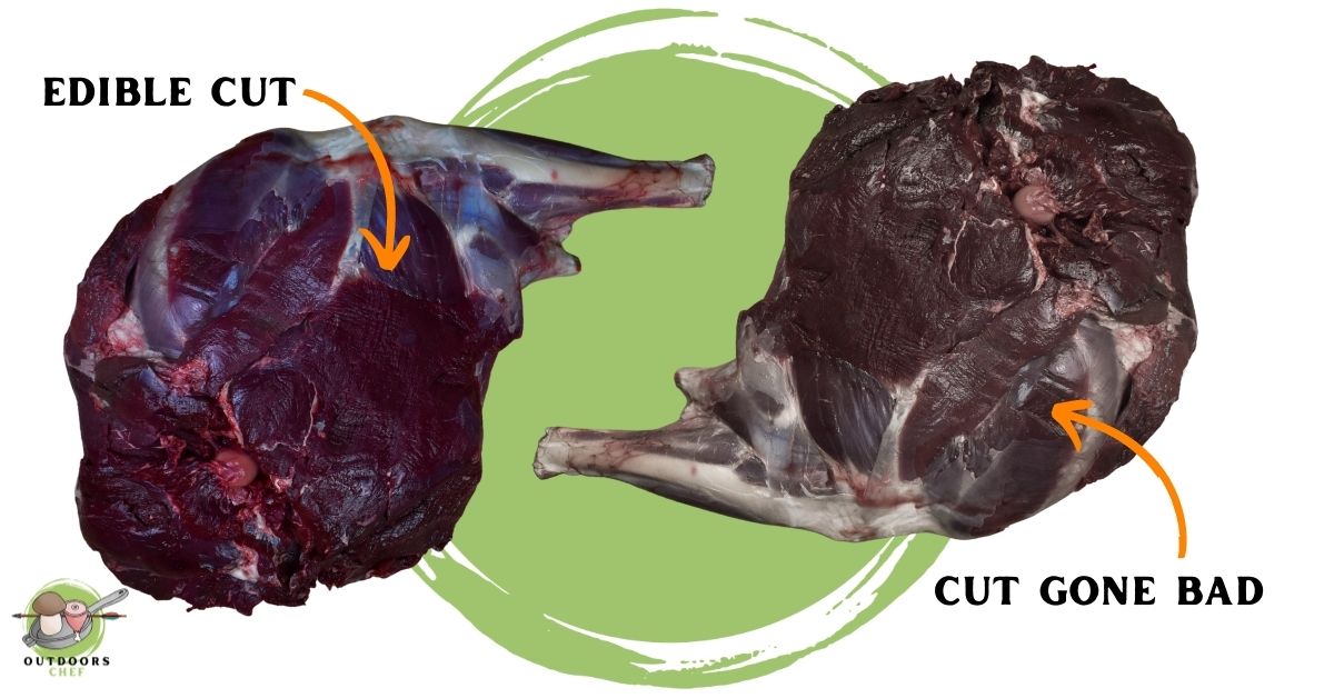 How Long Can Venison Stay on Ice