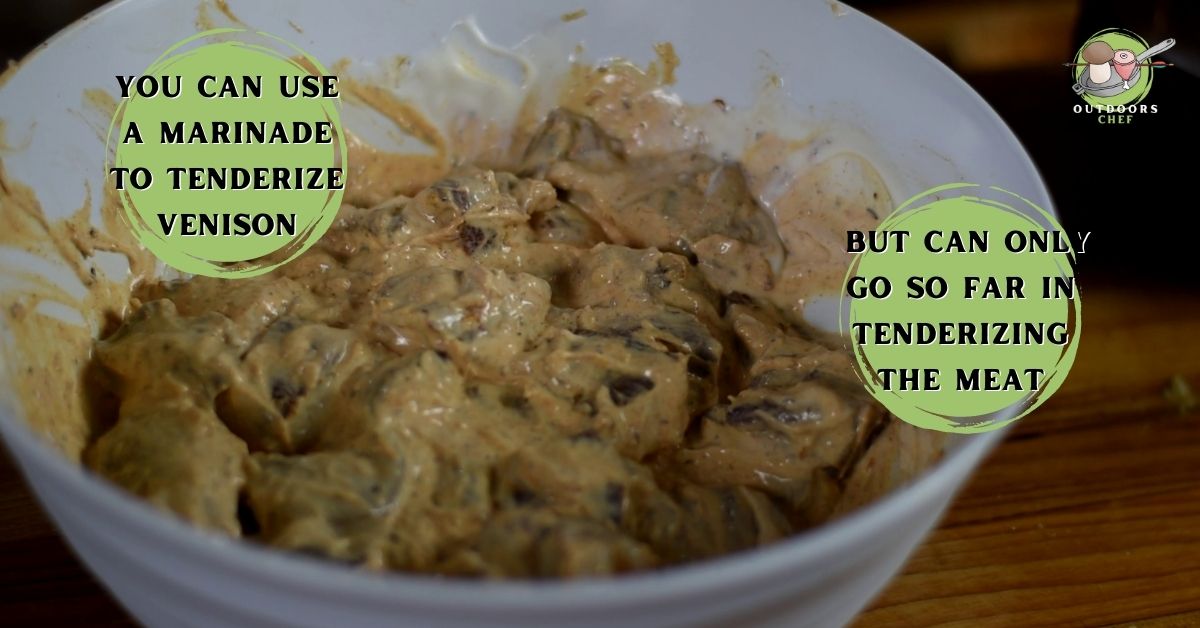 How to Make Deer Steak Tender