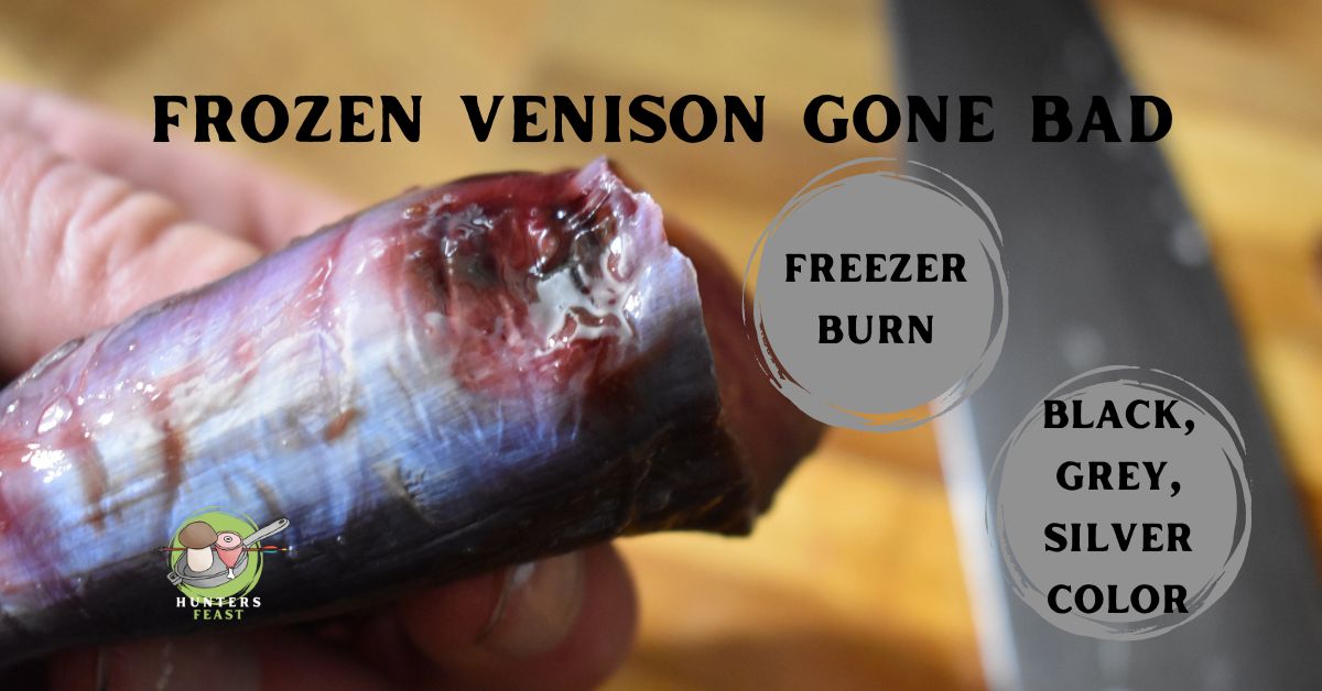 How to Tell if Frozen Deer Meat is Bad