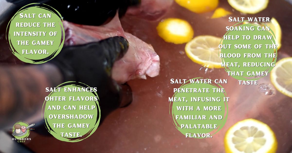 Soaking Venison in Salt Water