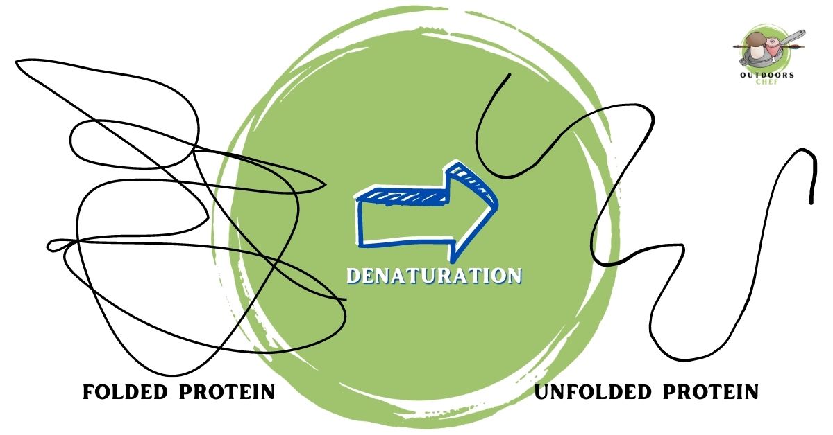 Soaking Venison in Salt Water