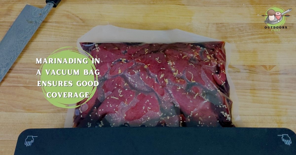 The Best Teriyaki Venison Jerky