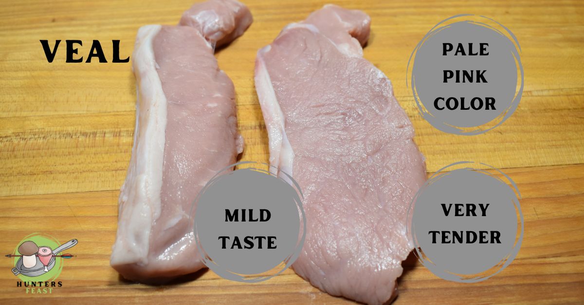 Veal vs Venison - What's the Difference