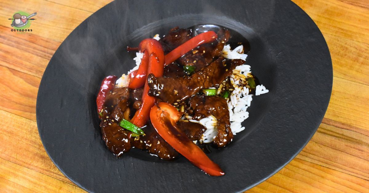 Venison Teriyaki Recipe