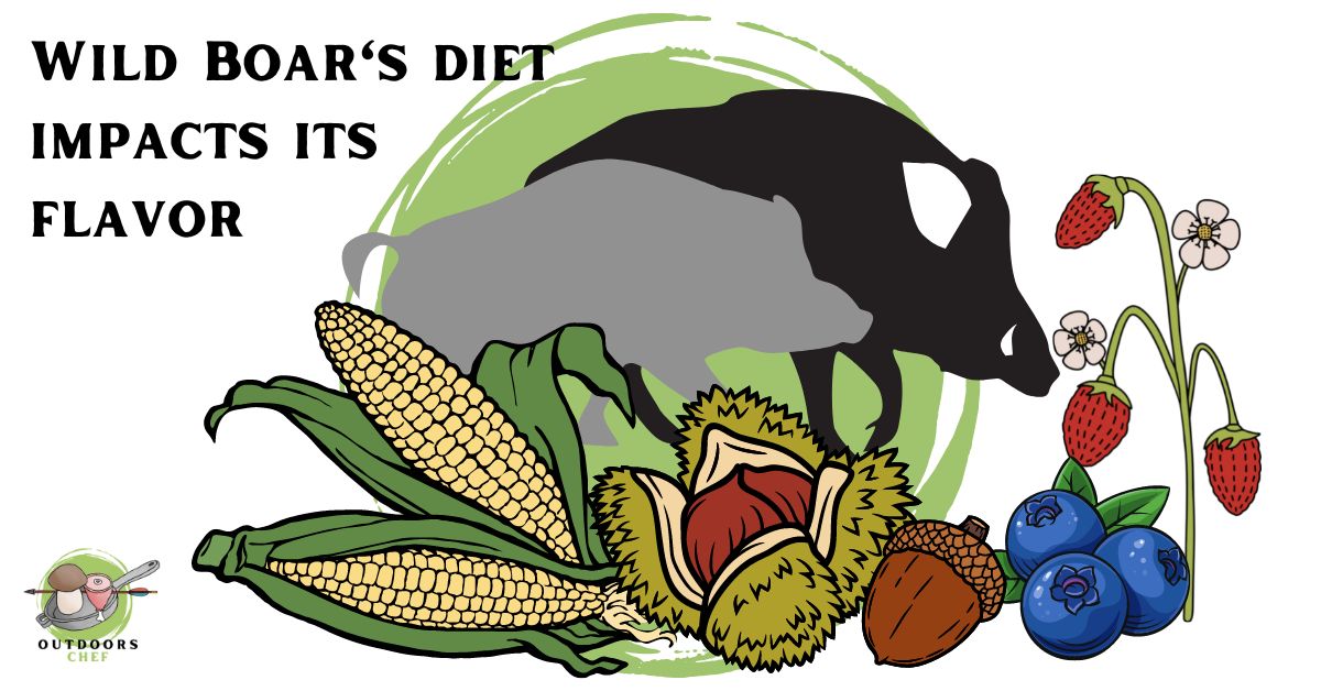 Wild Boar Meat Benefits